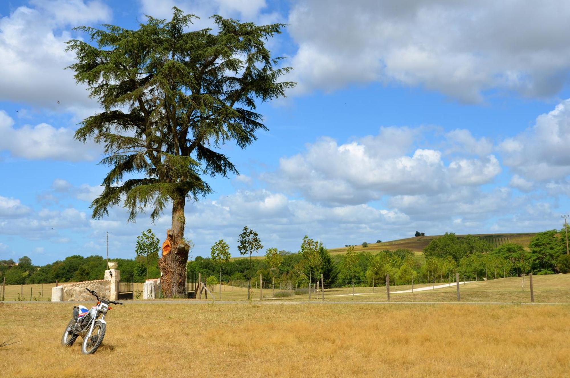 Château de Plèneselve Bon-Encontre Extérieur photo